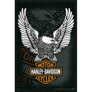 Logo HD Eagle 2015 Wings Up